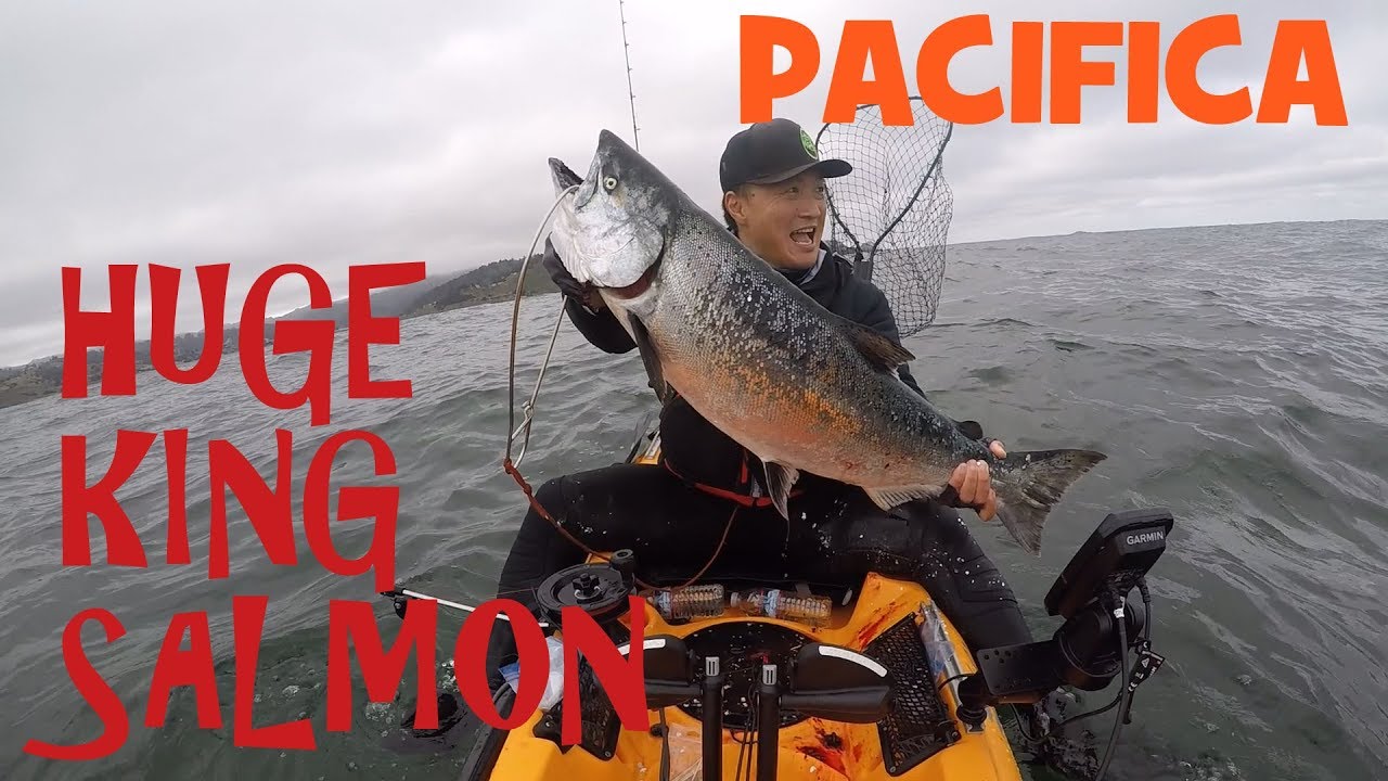 Pacifica (Rockaway) Salmon Fishing Huge King Salmon on My Hobie