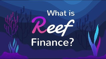 Reef.Finance - THE FIRST CROSS-CHAIN DEFIOPERATING SYSTEM (INTERVIEW WITH THE CEO)