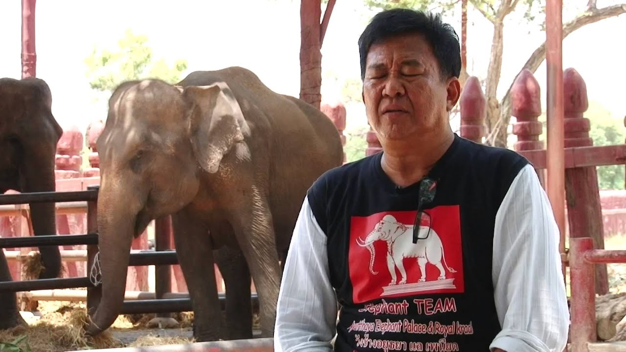 อาชญากรรมหน้าหนึ่ง : คดีวางยา ลอบฆ่า ตัดงาพลายคล้าว 30 ต.ค. 57  (1/3)