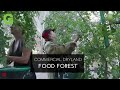 Commercial Dryland Food Forest