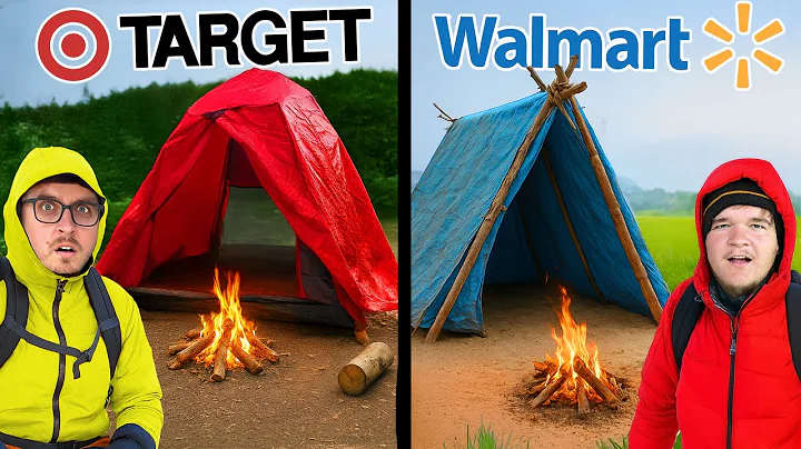 $100 Target vs Walmart Budget Survival Challenge