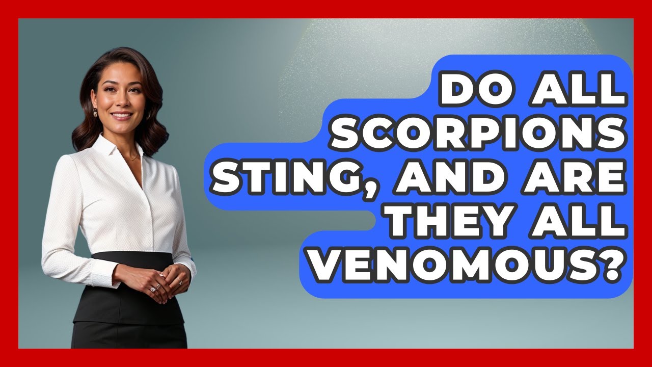 Do All Scorpions Sting, And Are They All Venomous? - First Response Medicine
