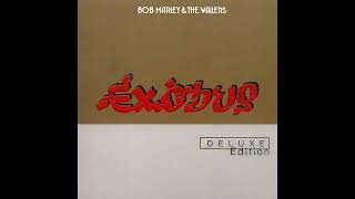 Punky Reggae Party(Dub B side of Jamaican 12'' single)