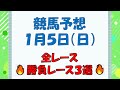 【競馬予想】１月５日（日）全レース予想／厳選３レース(平場予想・重賞予想)