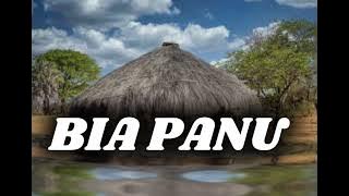 EL-MARTINHO BIA PANU