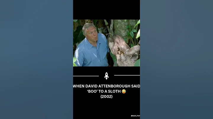 “When David Attenborough said ‘boo’ to a sloth 😂