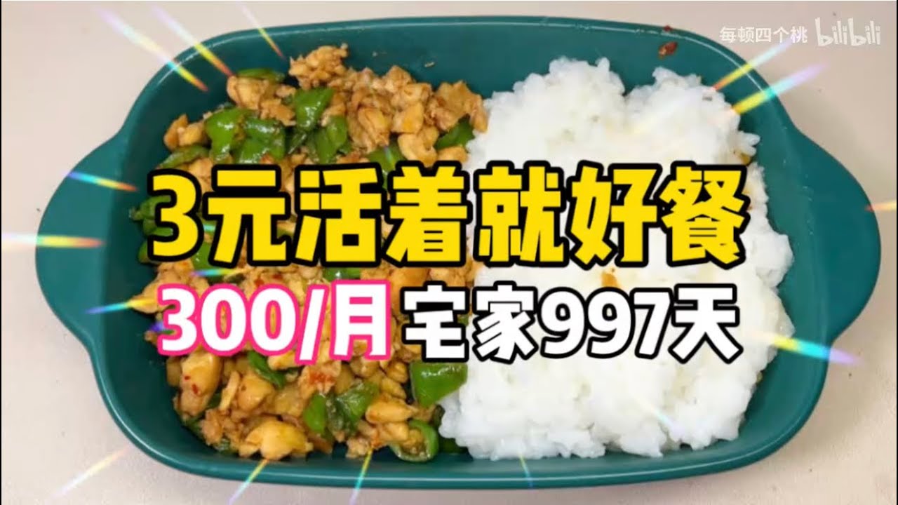 3元活着就好餐！95女不上班997天！鸡胸肉炒青椒盖饭～#food #美食 