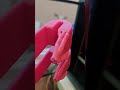 Car seat hooks (removing supports)