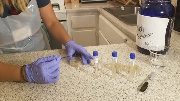 Aseptic Technique and Culturing Microbes Part 2
