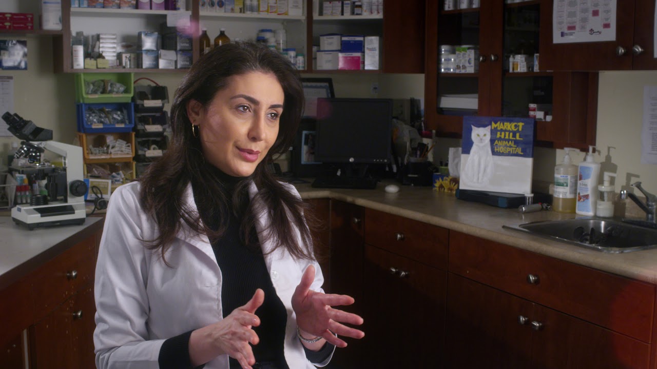 Market Hill Animal Hospital - Marketing Video