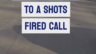 MPD and MSTF Respond to a Shots-Fired Call