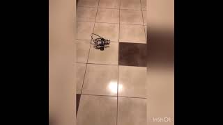 AI robotics - assignment  [NXT]