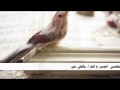 أنشودة احلى الذكريات عبدالله الخشرمي