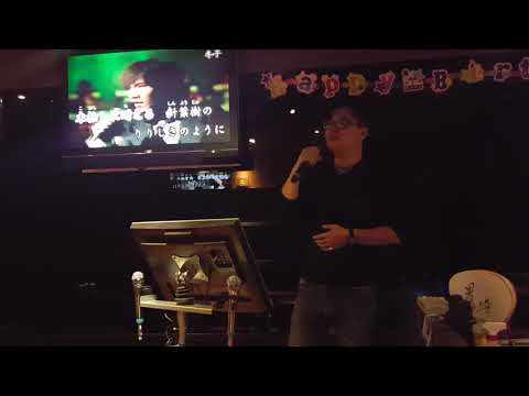 針葉樹      野口五郎       相澤