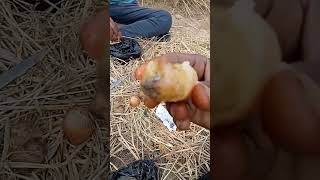 #viral Sudhirshimbha # blog posts #aundha