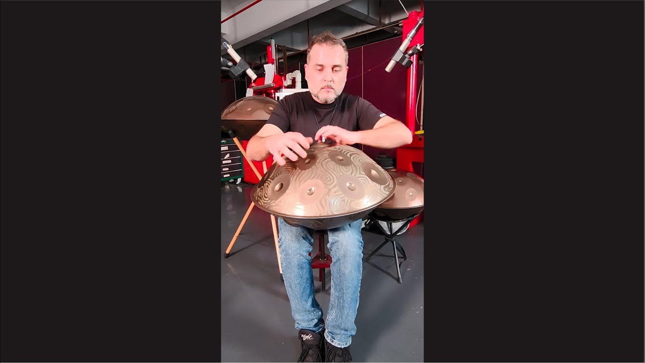 MrPans handpan - D Kurd 12+4 - Alessio Handpan Selection