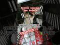 310 FEEDING STRAY CATS / RESCUING SAFADI