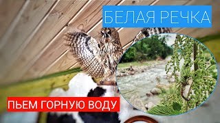 Едем к БЕЛОЙ РЕЧКЕ / ПЬЁМ ГОРНУЮ ВОДУ / БЕЛАЯ РЕЧКА