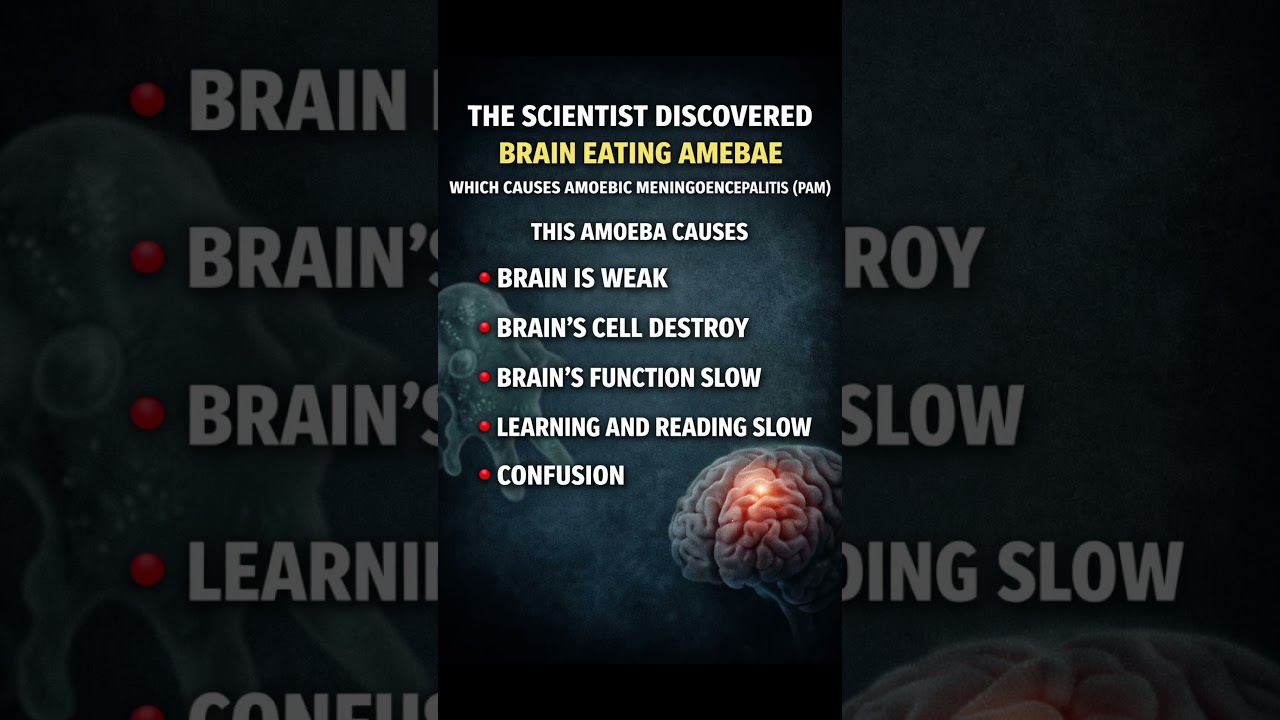 Brain eating amebae