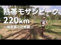 感染病との死闘！サバンナ220kmマラソンへの挑戦(Ultra Africa Race 2017)