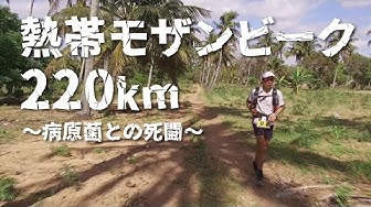 グレートレース Youtube