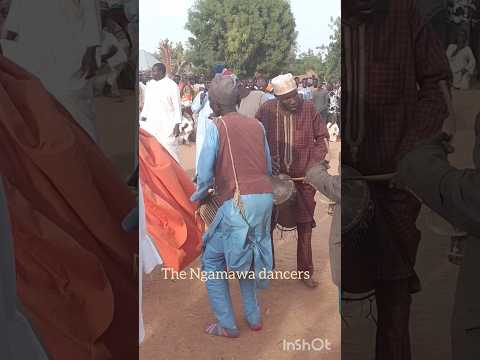 Ngamawa Dancers The Ngamo People