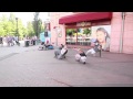 Reflect Dance