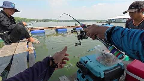 Đi câu cá Nâu ( Hói) ở Phước An gặp bầy cá giật mỏi tay