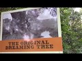 Walt Disney Dreaming Tree Trundlebed Trails