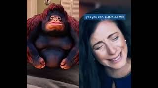oo oo monkey