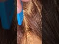 STAR in the making#hairstyle#star#shortvideo#youtubeshorts#shorts