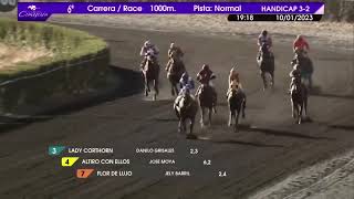 Vidéo de la course PMU PRIX BRINDISI