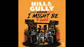 P GooDZ - Hill and Gully