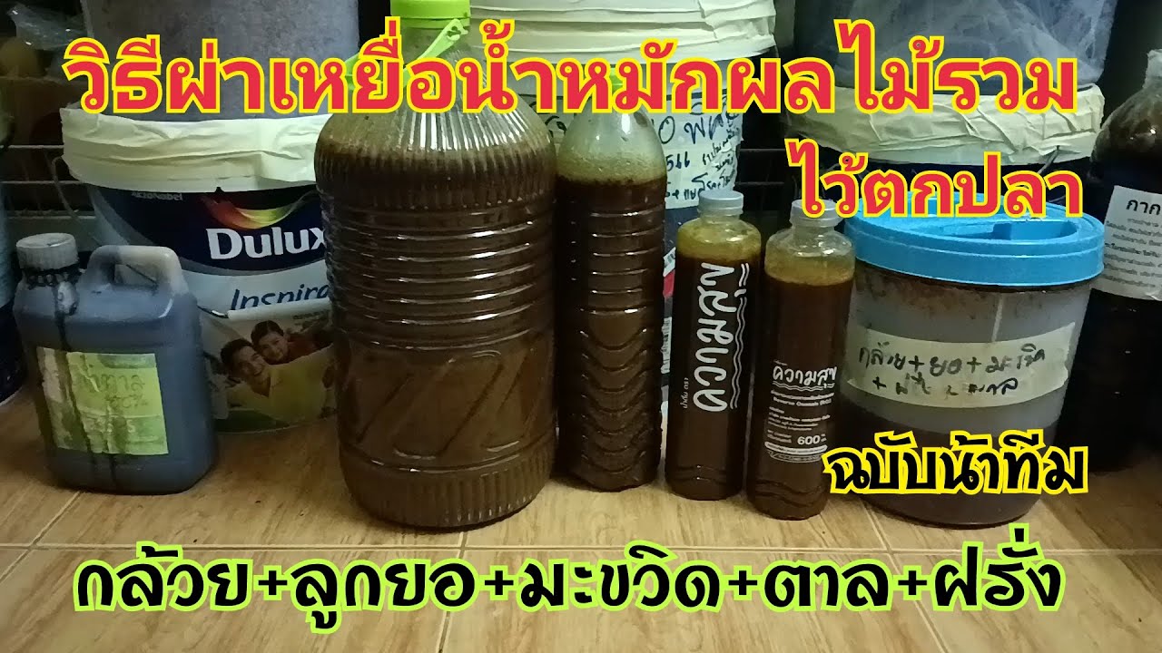 วิธีผ่าเหยื่อน้ำหมักผลไม้รวม  ให้น้ำเยอะ กลิ่นนวลขึ้น