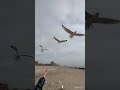 Brighton Beach 🏝️