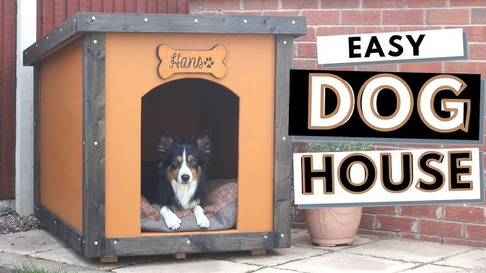 Simple Large Dog House Build Diy - Youtube
