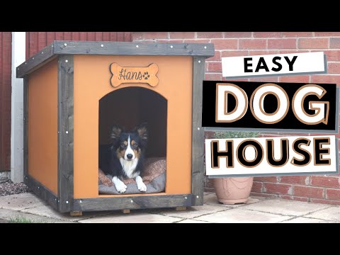 Video: Idéer för levande hundkoja – hur man gör en hundkoja i trädgården