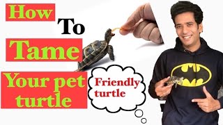 How To Tame Your Pet TURTLE! | Make your turtle Friendly| Indian Turtle Aquarium tips !