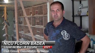 NICU FLORÍN BADEA (Lloret de Mar 2021) Palomas mensajeras, Circulo C. Herculino