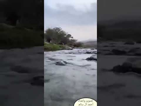 رحله وتصوير الاصدار بين قرية العرضي تابعه المحافظة بارق و محافظة تنومه