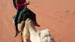 Camel Trek, Jordan Desert