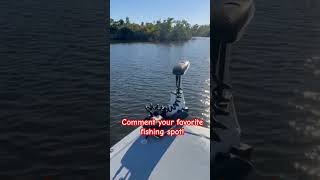 Ipilot leads the way… #minnkota#inshorefishing#shorts#floridafishing#trolling