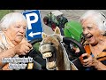 Einpark Challenge - Rückwärts mit Pferdeanhänger | Landwirtschaft Simulator 19 | Senioren Zocken!!!