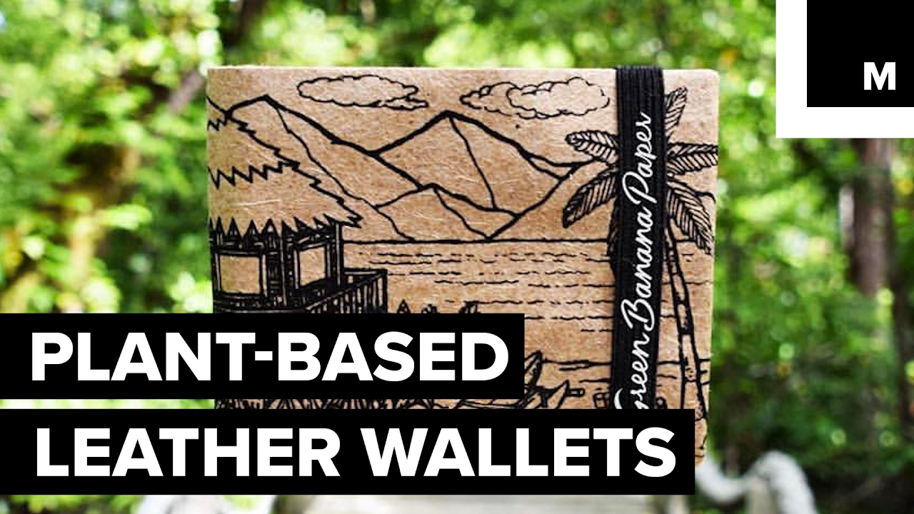 Leatherlike wallet made from banana plant fibers YouTube