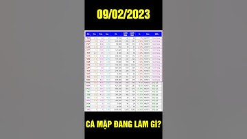 F186 - Cá mập đang làm gì đây?? #shorts #short #shortvideo