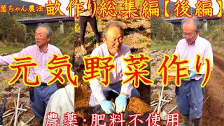 ☆【保存版】菌ちゃん農法畝作り（後編） 自然界の糸状菌にはすごい働きがあった… @暮らしツムツム梅おむすびチャンネル