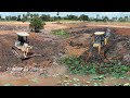 Great operator bulldozer SHANTUI and KOMATSU D41E pushing soil fill process huge land
