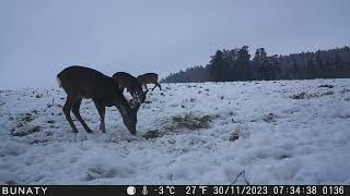 DSCF0136