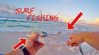 Fort Morgan, Alabama Surf Fishing Day 1