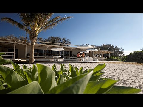 Video: Un Sogno Realizzato Su Lady Elliot Island [foto] - Matador Network